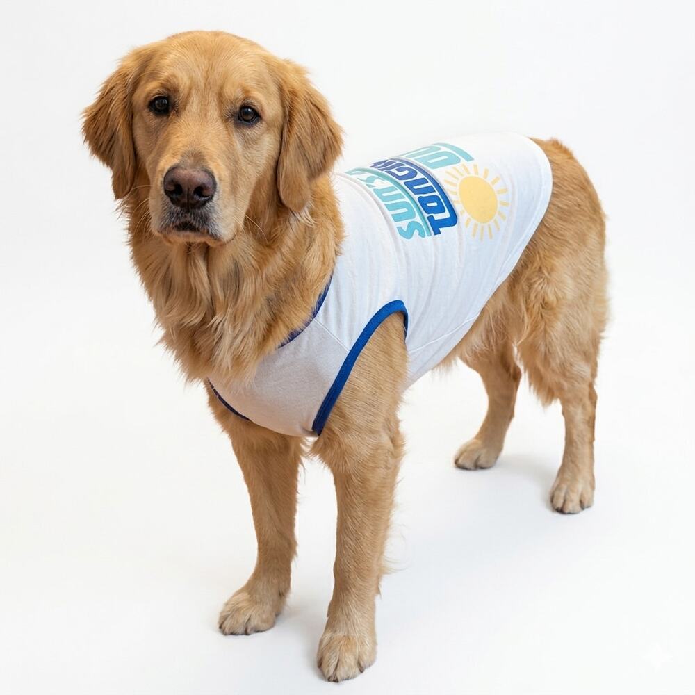 Buttons & Bones Large Dog Tank Top Sun's Out Tongue's Out Blue Trim Pet Shirt